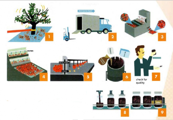 the-pictures-show-the-process-of-making-cherry-jam-describe-the-process
